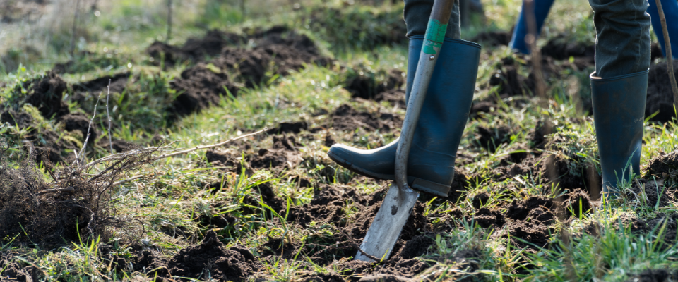 28bf4233-ce7a-4856-ab18-66c72a580160