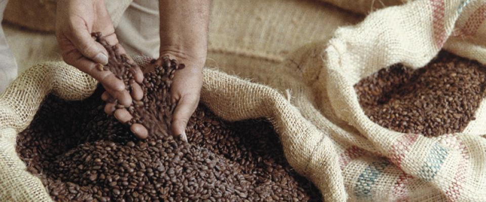 coffee_beans_colombia
