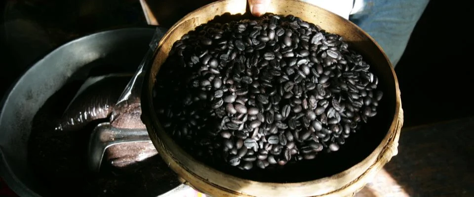 Bak met zwarte koffiebonen gepresenteerd aan de camera - Nestlé Professional