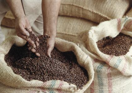 Koffiebonen in zakjken