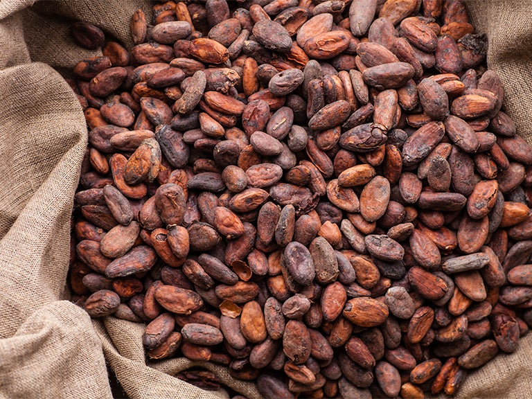 Een zak vol met cacaobonen - Nestlé Professional