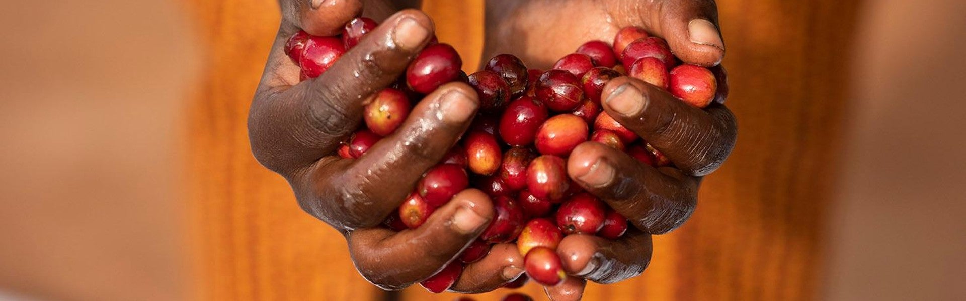 Handen vol met sappig rood fruit - Nestlé Professional