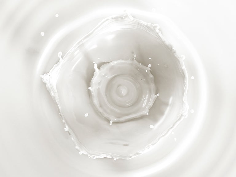 Spetters melk - Nestlé Professional