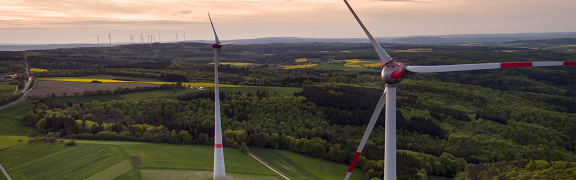 Landschap met twee windmolens op de voorgrond en meerdere op de achtergrond - Nestlé Professional