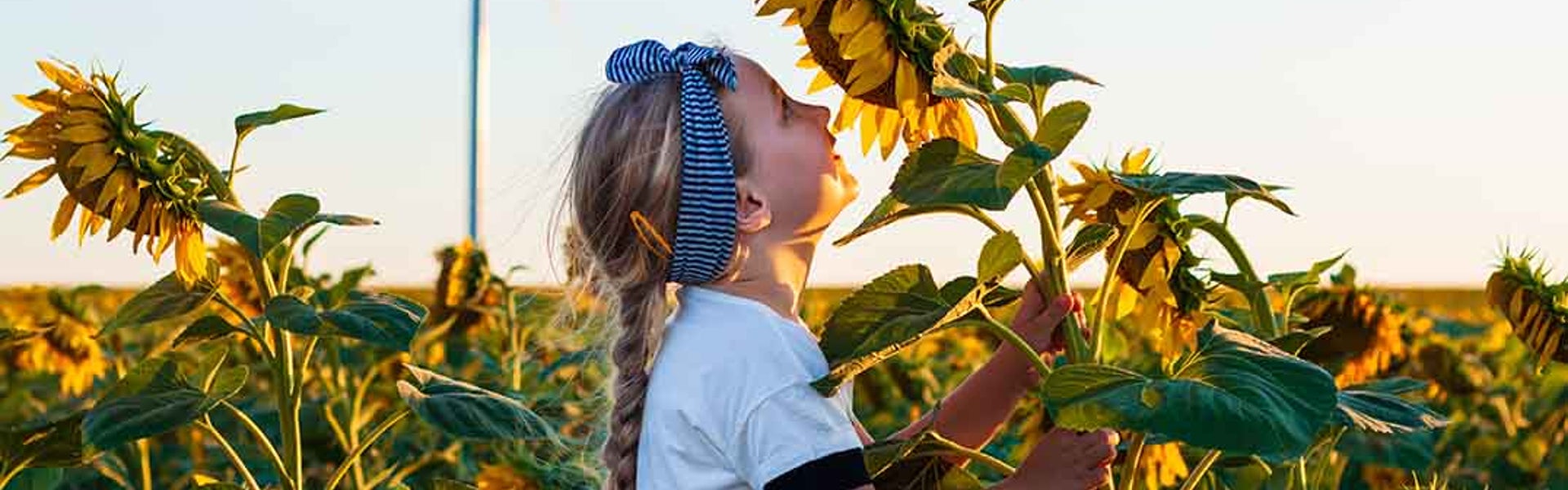 Meisje dat aan een zonnebloem ruikt in een veld vol zonnebloemen - Nestlé Professional