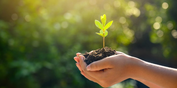 handen die aarde vasthouden met een bloeiende plant