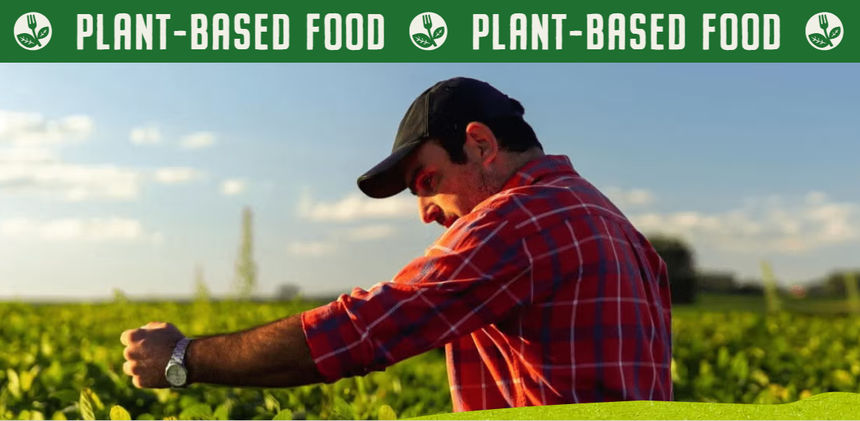 Banner plantaardig voedsel - Garden Gourmet