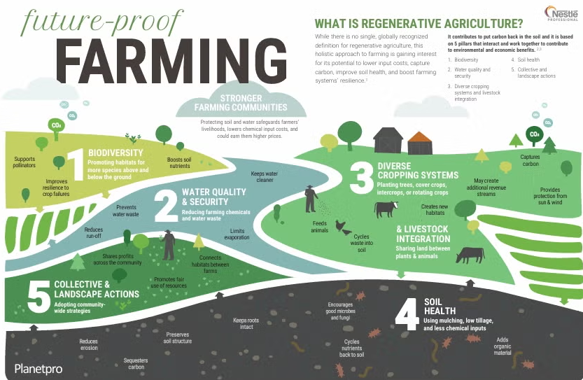 Farming Nestlé Professional