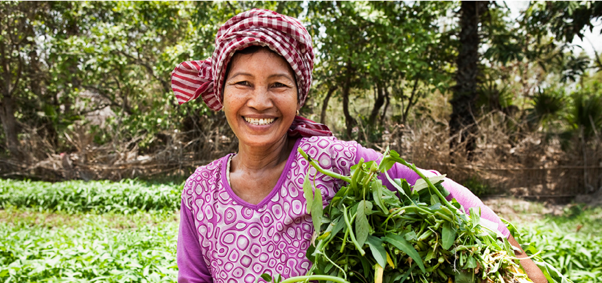 Certificeringen Nestlé Professional