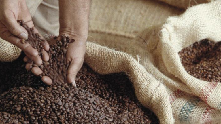 coffee_beans_colombia