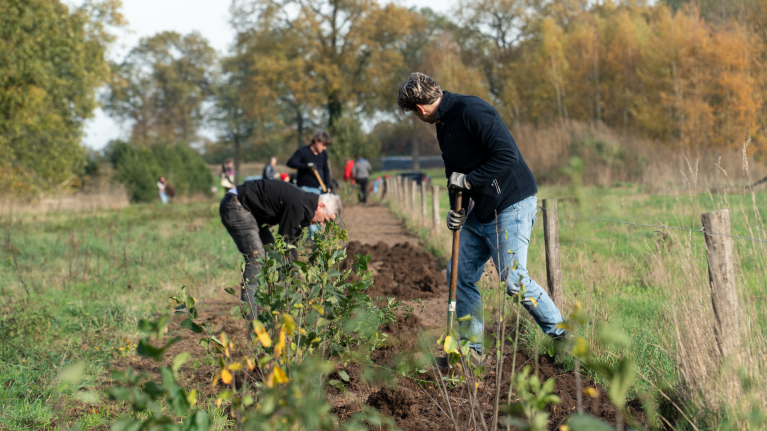 Een groep mannen die plantjes planten - Nestlé Professional