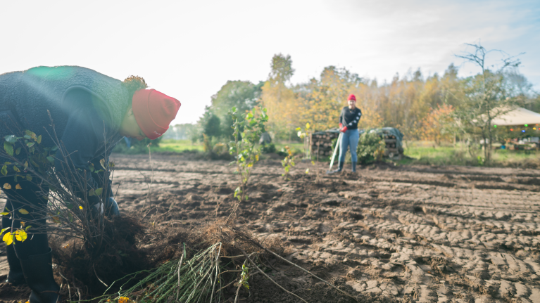 Twee dames planten plantjes op een groot open veld - Nestlé Professional