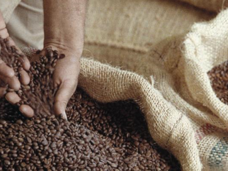coffee_beans_colombia