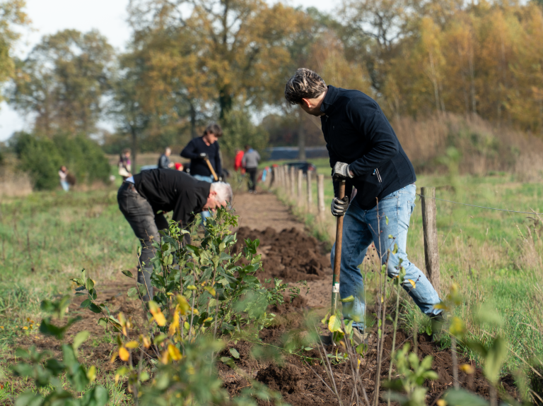 Een groep mannen die plantjes planten - Nestlé Professional