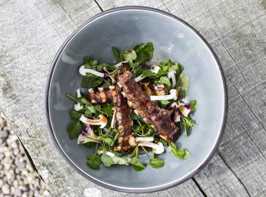 Spare ribs en salade in een kom