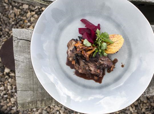 Wildswijn gerecht op een wit bord