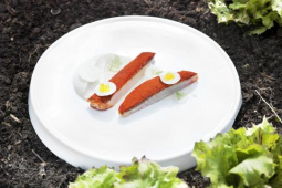 rode_mul-luc_kusters