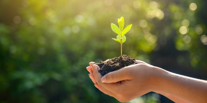 handen die aarde vasthouden met een bloeiende plant